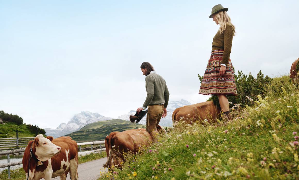 Wandern zwischen Kühen am Arlberg