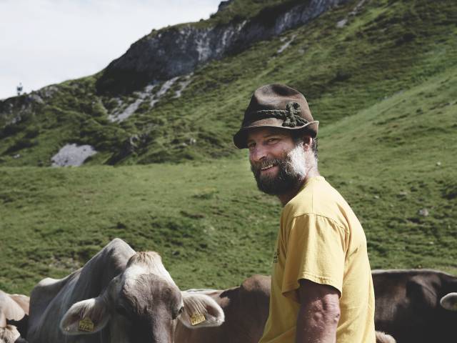 Almhirt mit Kühen auf der Alm am Arlberg
