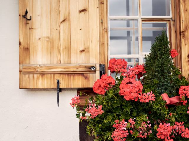 Holzfensterladen mit roten Geranien